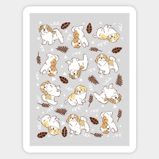 Shih Tzu Puppies Sticker